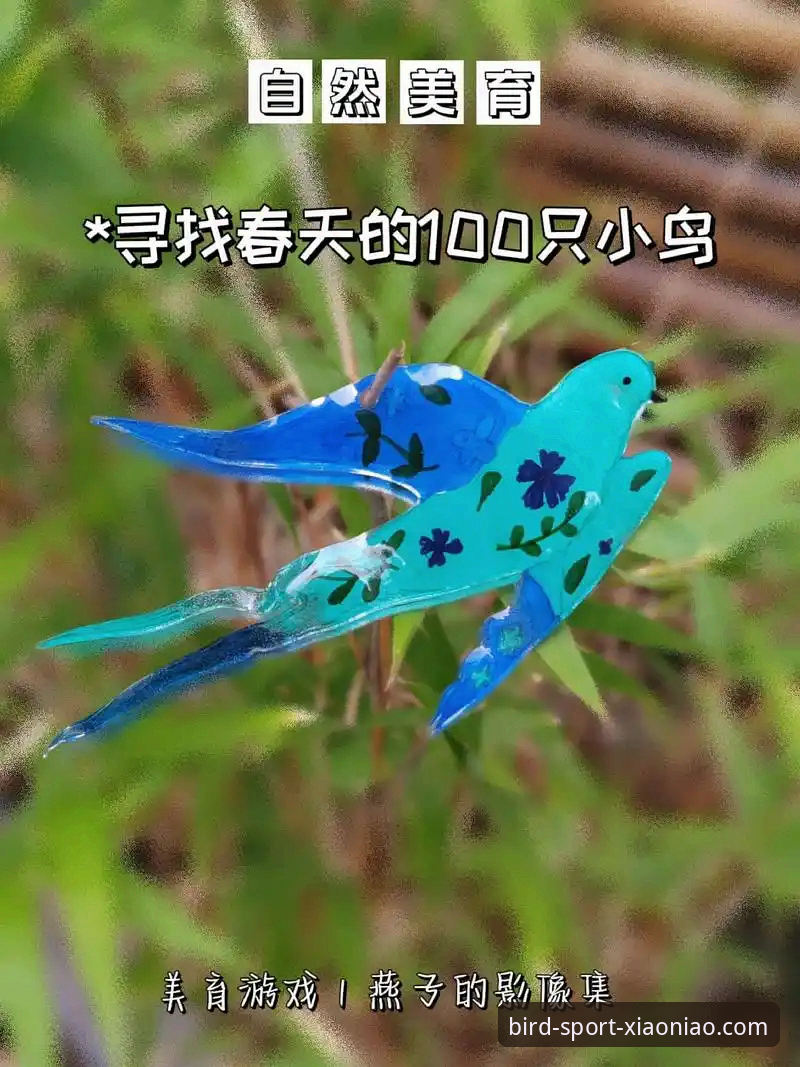 揭秘小鸟体育下载使用技巧：90%用户不知道的隐藏功能与流畅体验真相