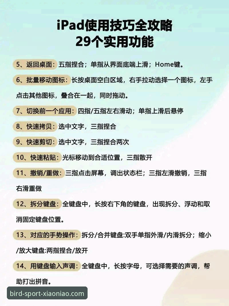 小鸟体育电脑版操作体验深度评测：从入门到精通的实用技巧